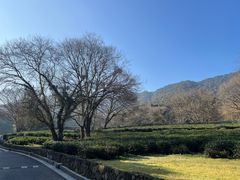 -法云安缦酒店