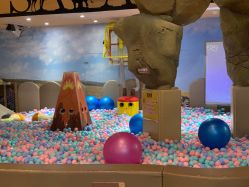 -卡通尼·Safari非洲探索乐园·生日会(金桥国际商业广场店)