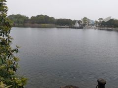 -上海鲜花港