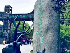 -溱湖国家湿地公园