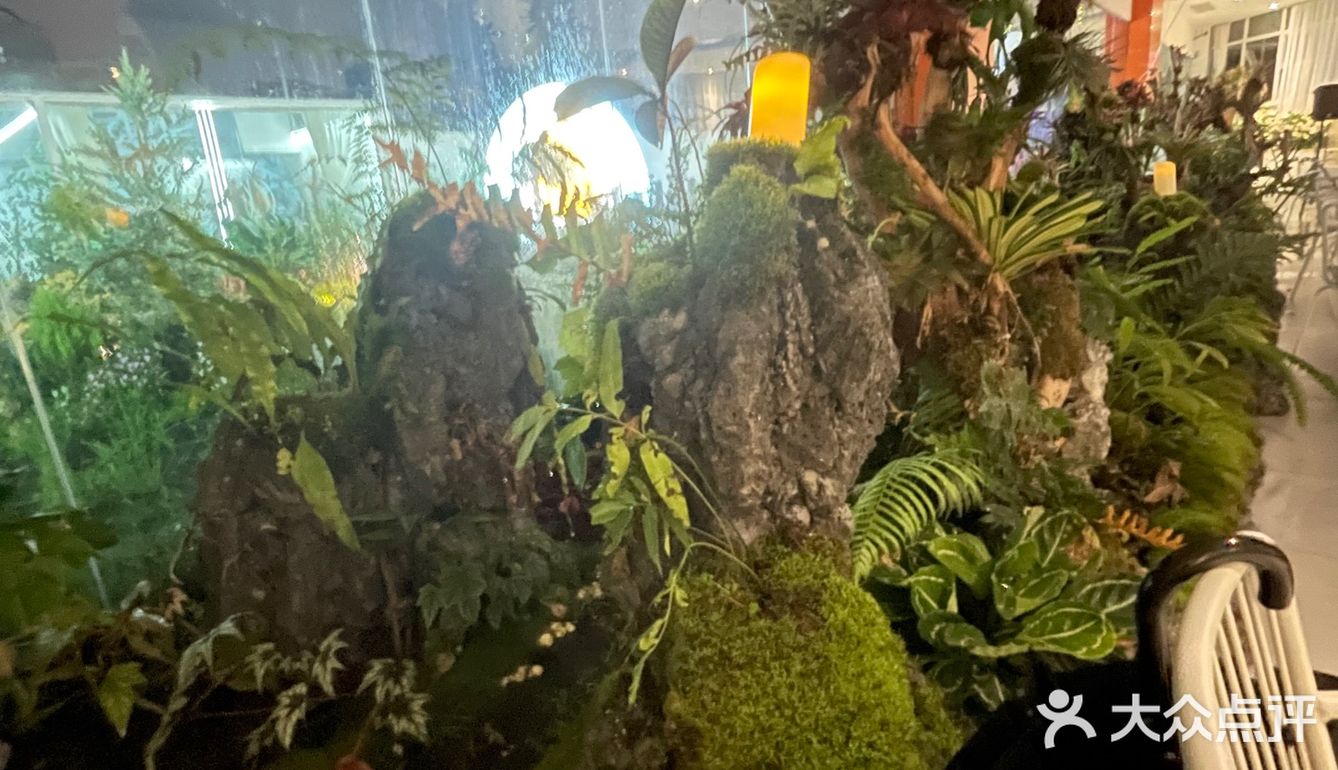 顶楼的花园餐厅，景观布置超级棒