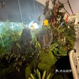顶楼的花园餐厅，景观布置超级棒