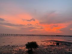 -宝安西湾红树林湿地公园