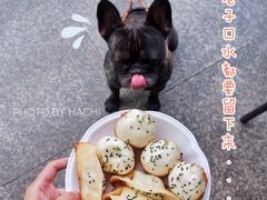 生煎-张记汤馆(嫩江路店)