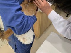 -菲尔斯特宠物医院