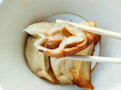 -洋洋锅贴
