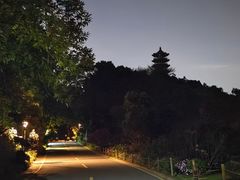 -深圳仙湖植物园