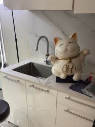 -米娜造型蛋白烫发