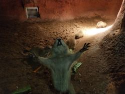 -酷嗒动物文化乐园(cutezoo西溪乐天城店)