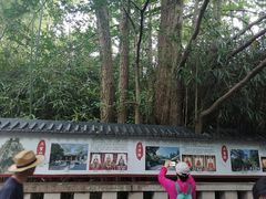 -青岛崂山太清宫