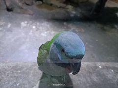 -多彩贵州城极地海洋世界