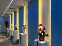 -爱氧森林·日本兴百世SHENPIX微高压氧舱