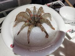 -川西坝子(苏州城市生活广场店)