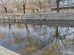 -元大都城垣遗址公园