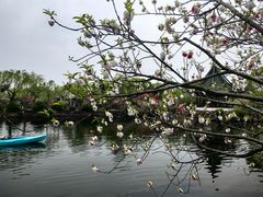 -无锡蠡湖国家湿地公园-蠡园