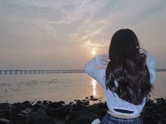 -宝安西湾红树林湿地公园