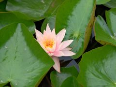 -白鹭湾湿地公园