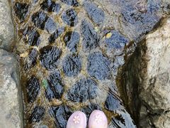 -水墨汀溪风景区