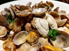 -前海沿·青岛菜(大拇指广场石老人店)