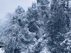 -龙苍沟森林公园