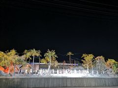 -三亚红色娘子军演艺公园景区