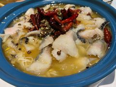 -Aqua Oasis 水天堂(相城天虹商场店)