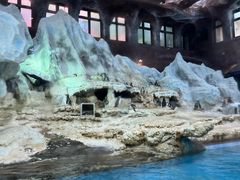 -帝企鹅自助餐厅•儿童岛•真企鹅(长隆企鹅酒店)