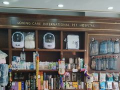 -宠爱国际动物医院· 猫科· 外科·中兽医(长白店)