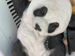 -六时安·熊猫张甜品店(东关街店)