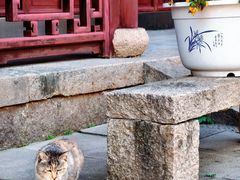 -无锡惠山寺