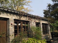 -田园东方蜜桃村的田野营地