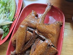 -光明刘冰乳鸽店(光明法政北路店)