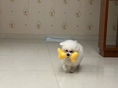 -芭比堂动物医院广州顽皮分院