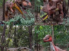 -济南野生动物世界