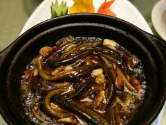 -蒲鲜菜馆