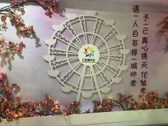 -幻彩摩天轮