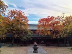 -灵谷景区