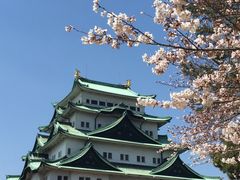 -名古屋城