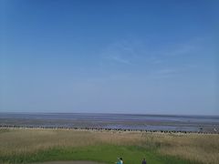 -南汇嘴观海公园