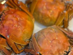 -王宝和酒家(黄浦店)