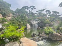 -罗红摄影艺术馆