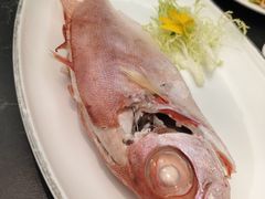 -吴记富苑(朝阳店)