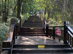 -天鹿湖森林公园