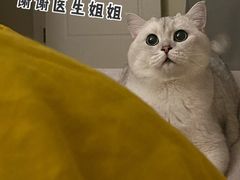 -立德动物医院·24小时中心(番禺区院区)