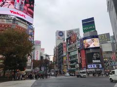 -涩谷全向十字路口