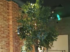 -同仁四季椰子鸡(无锡滨湖万象汇店)