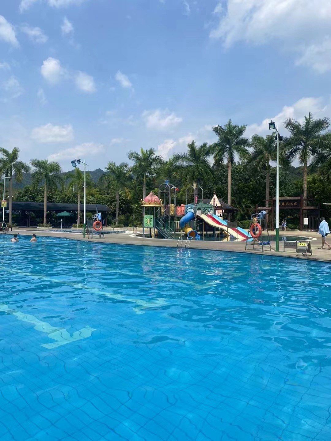 天天领红包夏天就要吃个下午茶,再去游个泳