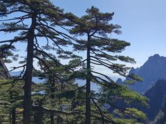 -黄山风景区