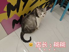-谜盒子奇幻密室(南屏店)