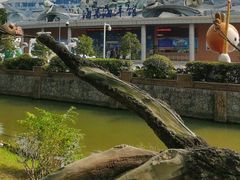 -溱湖国家湿地公园